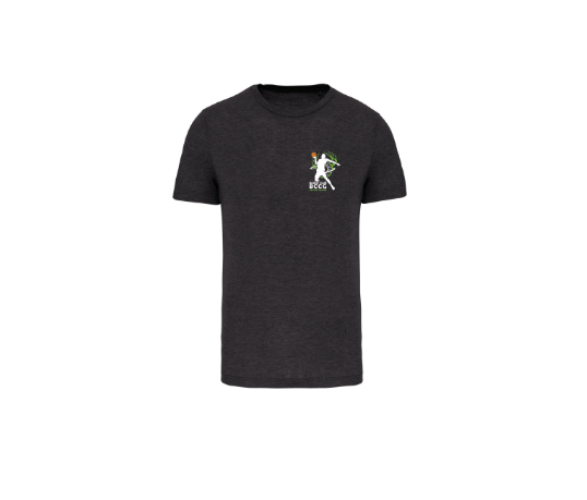 PA4011 T-shirt homme (4XL)